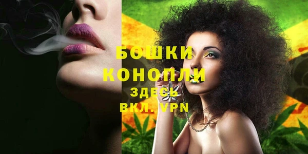 бошки Алзамай