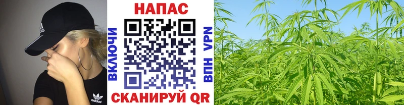 Марихуана OG Kush  даркнет сайт  hydra ССЫЛКА  Ахтубинск 